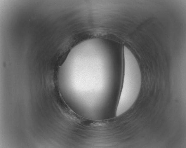 X0000062900512200601131047