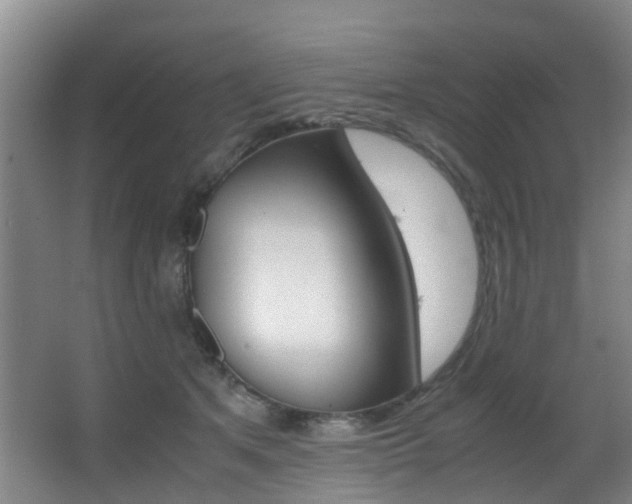 X0000062900513200601131047