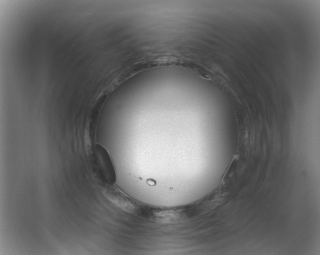 X0000062900516200601131047