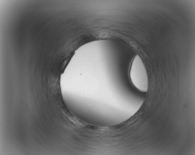 X0000062900521200601131047
