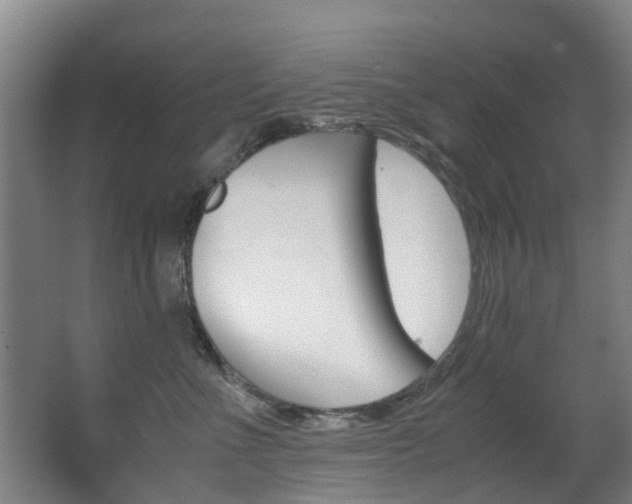 X0000062900523200601131047