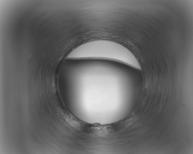 X0000062900524200601131047