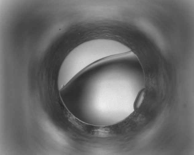 X0000062900525200601131047