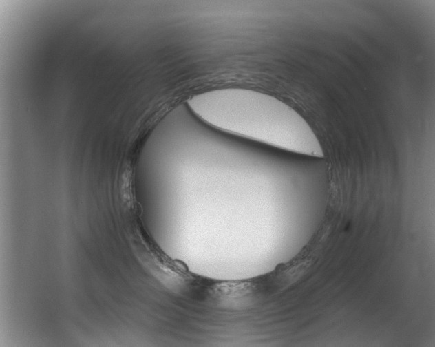 X0000062900526200601131047