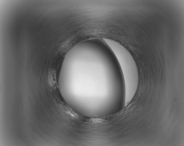 X0000062900528200601131047