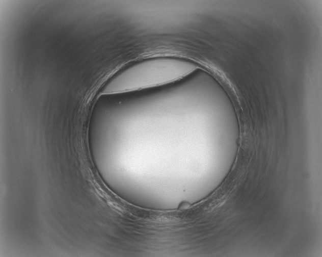 X0000062900529200601131046