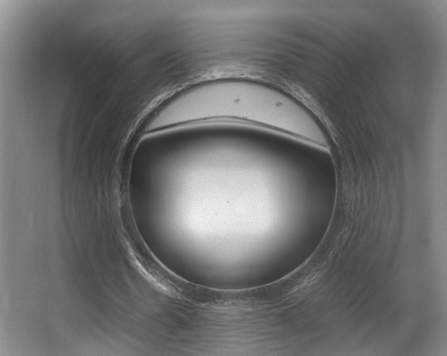 X0000062900530200601131046