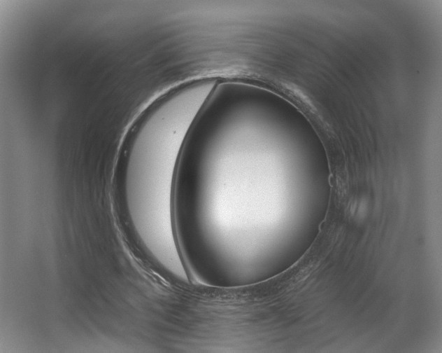 X0000062900532200601131046