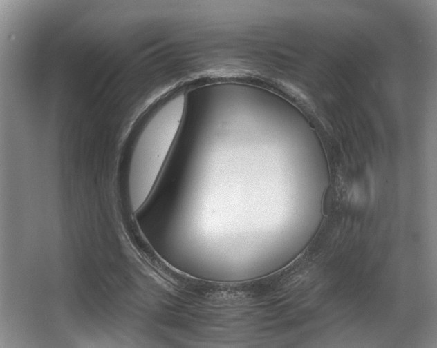 X0000062900535200601131046