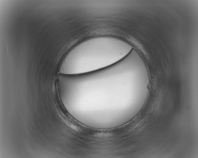 X0000062900537200601131046