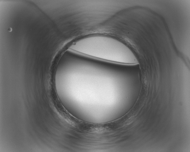 X0000062900540200601131046