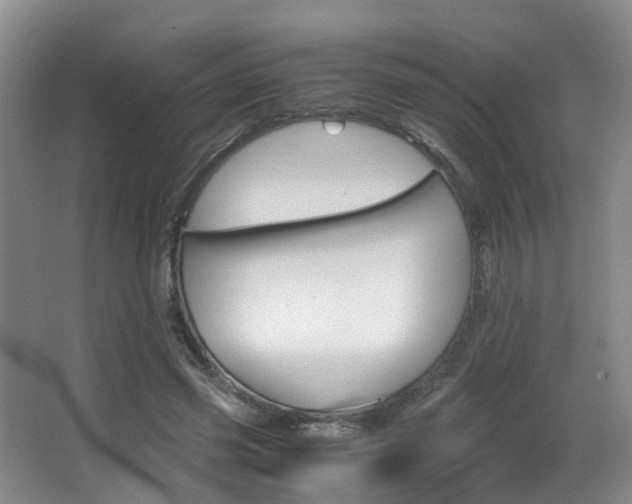 X0000062900541200601131046
