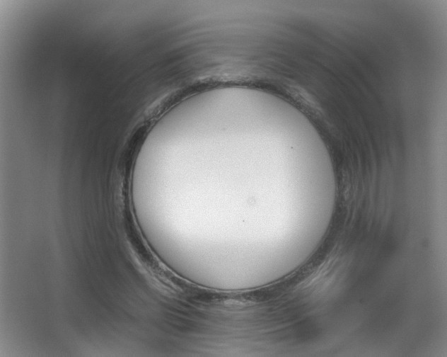 X0000062900542200601131046