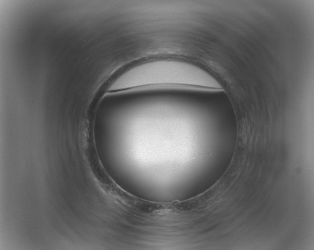 X0000062900544200601131046