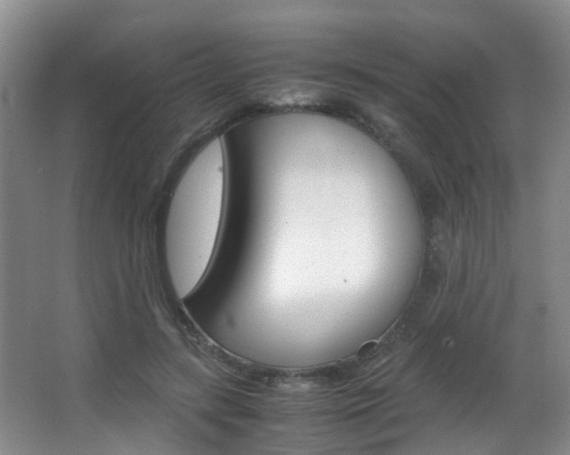 X0000062900547200601131046