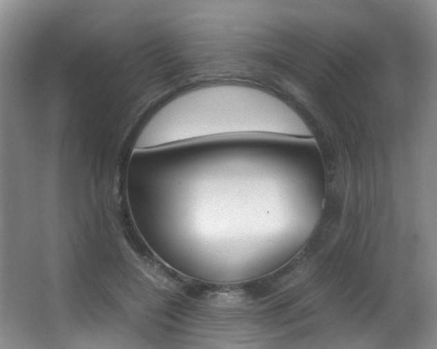 X0000062900548200601131046
