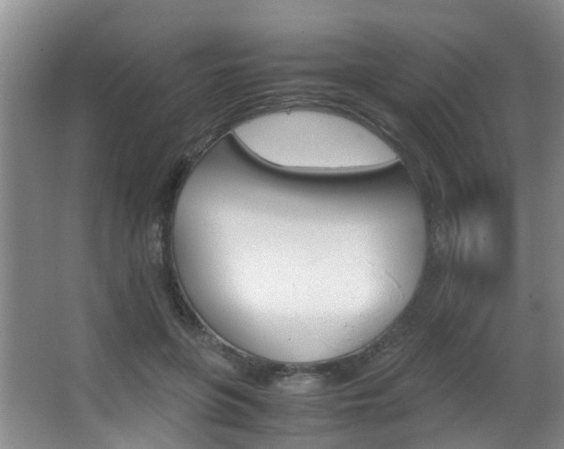 X0000062900551200601131046