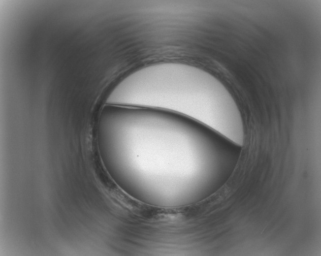 X0000062900552200601131046