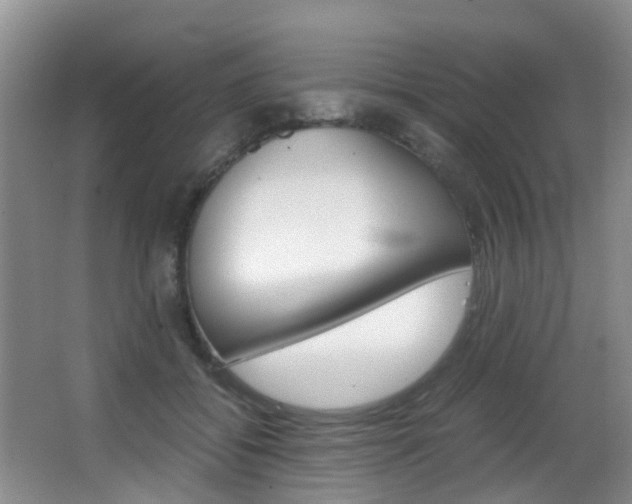 X0000062900556200601131046