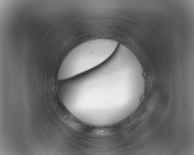 X0000062900557200601131046