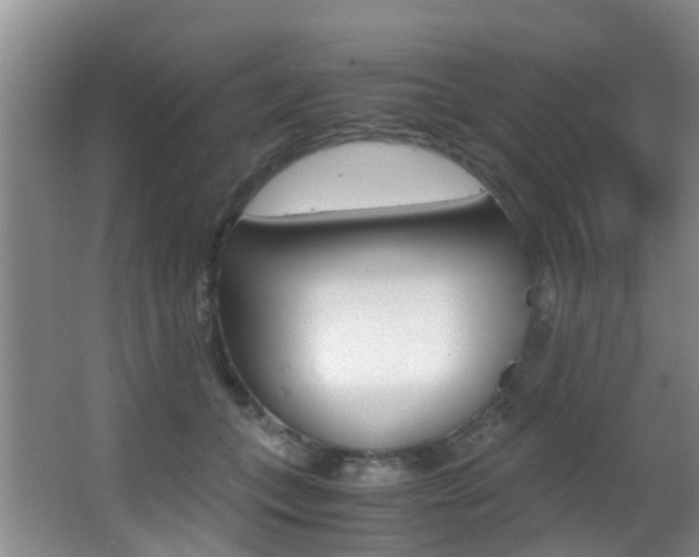 X0000062900559200601131046