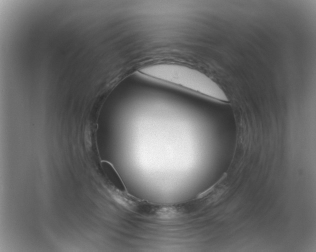 X0000062900562200601131046