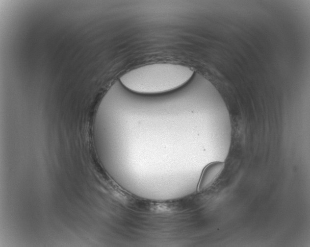 X0000062900565200601131046