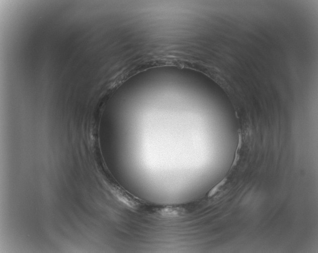X0000062900566200601131046