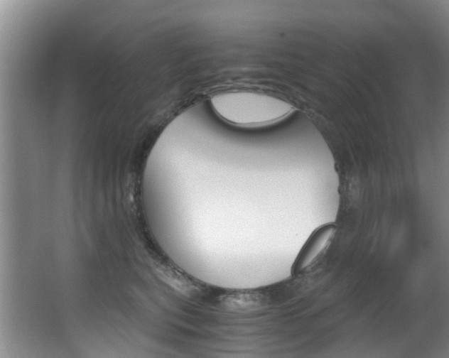 X0000062900567200601131046