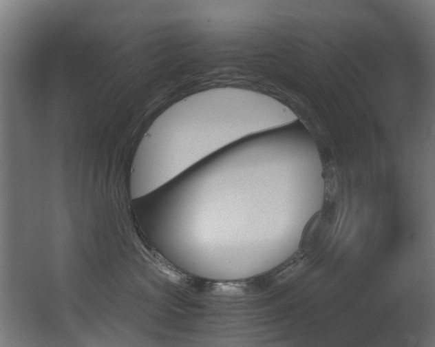 X0000062900573200601131047