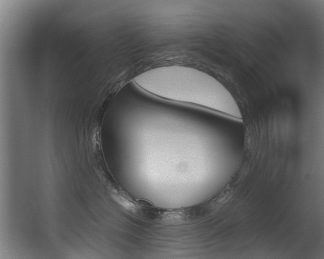 X0000062900574200601131047