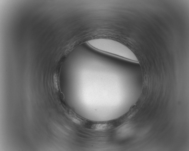X0000062900575200601131047
