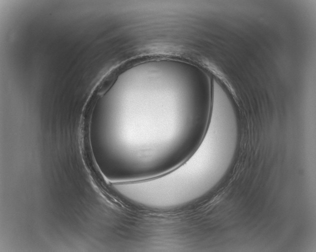 X0000062900580200601131046
