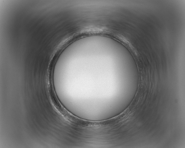X0000062900582200601131046