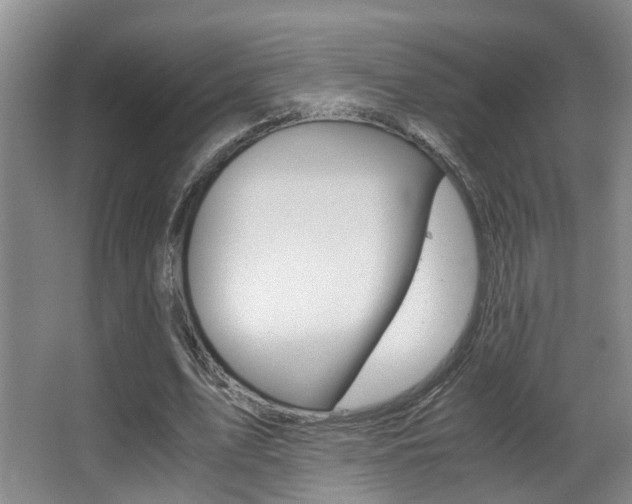 X0000062900583200601131046