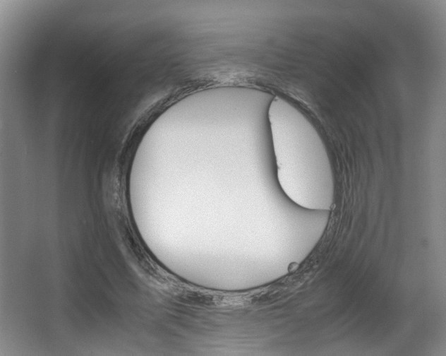 X0000062900587200601131046