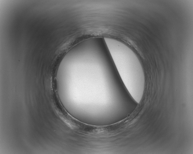 X0000062900589200601131046