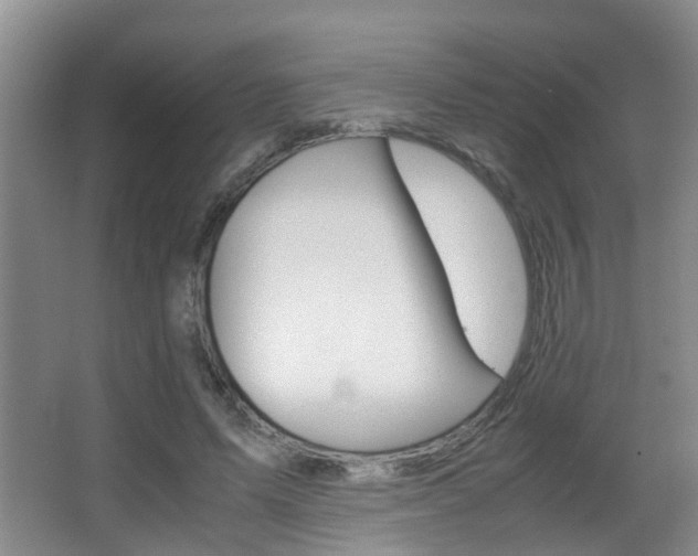 X0000062900591200601131046