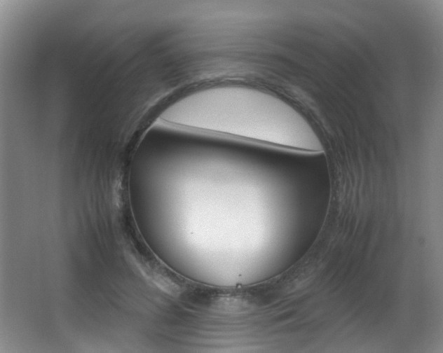 X0000062900596200601131045