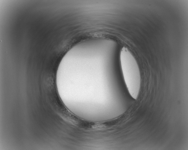 X0000062900603200601131045