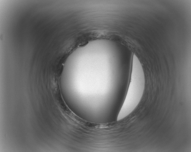 X0000062900607200601131045