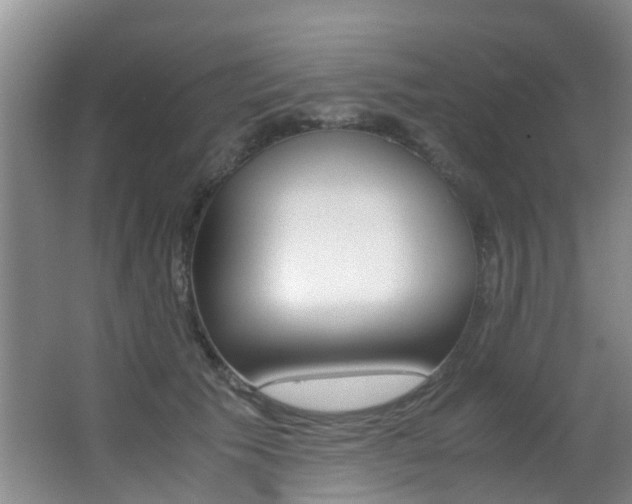 X0000062900609200601131045
