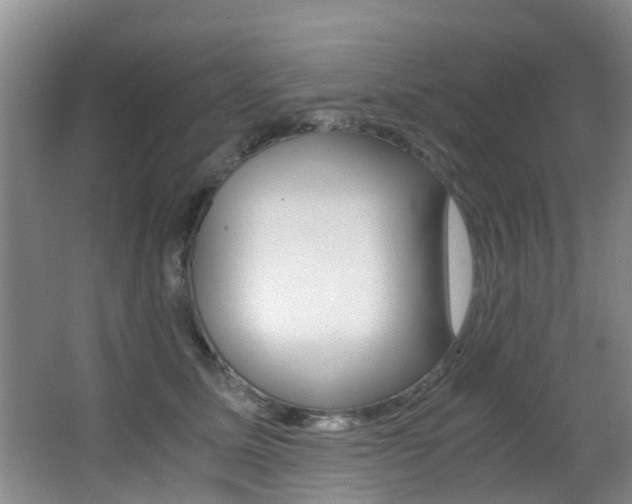 X0000062900611200601131045