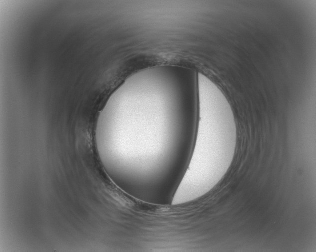 X0000062900613200601131045