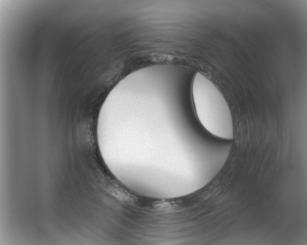 X0000062900616200601131045