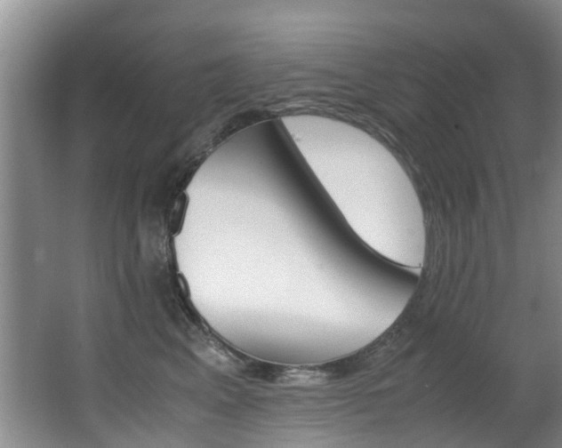 X0000062900617200601131045