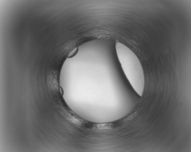 X0000062900622200601131045