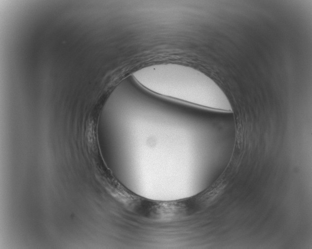 X0000062900623200601131045