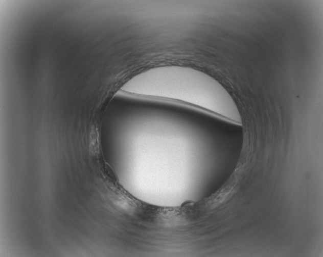 X0000062900624200601131045