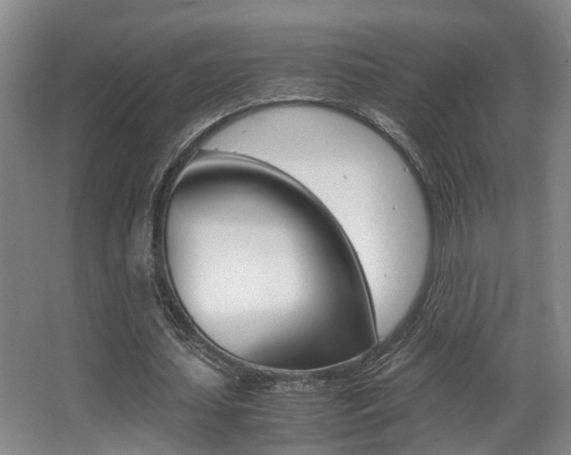 X0000062900627200601131044